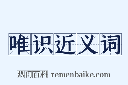 唯识近义词是什么意思的图片